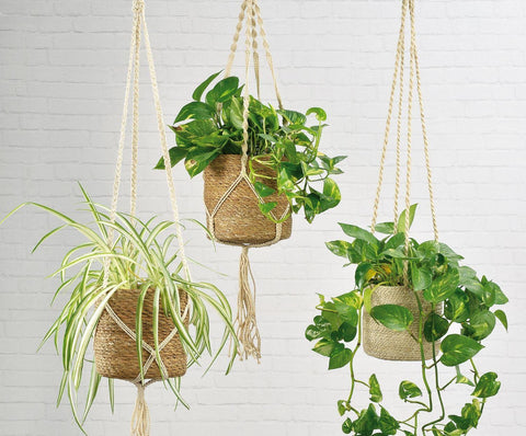 Pot suspendu en fibre de jute - INSIDE Box - Shop - Conseil