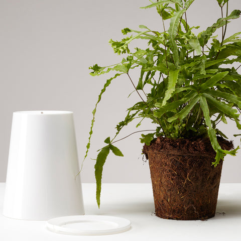 Pot suspendu renversé en plastique grand Sky Planter blanc - INSIDE Box - Shop - Conseil