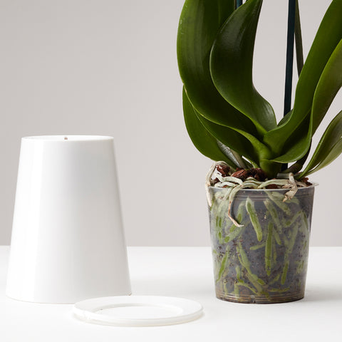 Pot suspendu renversé en plastique grand Sky Planter blanc - INSIDE Box - Shop - Conseil