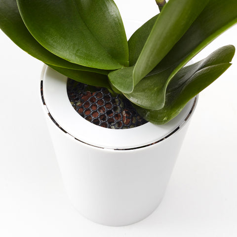 Pot suspendu renversé en plastique grand Sky Planter blanc - INSIDE Box - Shop - Conseil