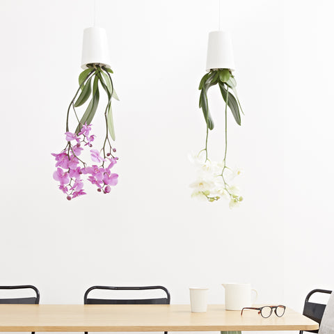 Pot suspendu renversé en plastique grand Sky Planter blanc - INSIDE Box - Shop - Conseil