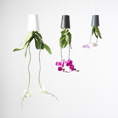 Pot suspendu renversé en plastique grand Sky Planter blanc - INSIDE Box - Shop - Conseil