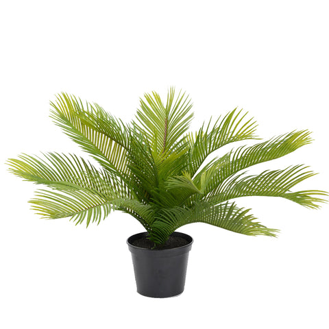 Faux Palmier Cycas 36 cm - INSIDE Box - Shop - Conseil