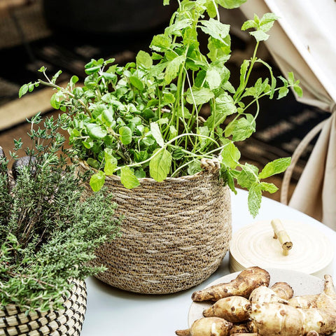 petit-panier-naturel-herbier-jute