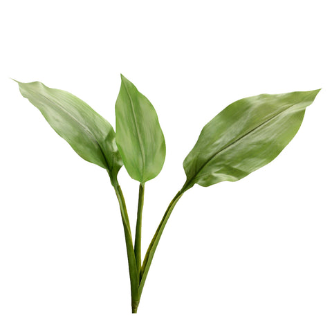 Feuilles artificielles d'Eucharis 50 cm - INSIDE Box - Shop - Conseil