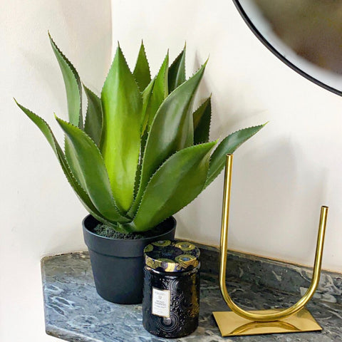 plante-artificielle-agave-plante-eternel