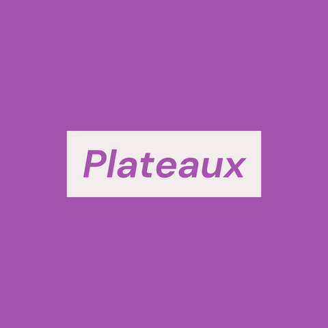 Plateaux - INSIDE Box - Shop - Conseil