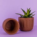 Cache-pot de fleurs Terracotta - INSIDE Box - Shop - Conseil