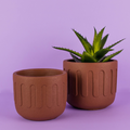 Cache-pot de fleurs Terracotta - INSIDE Box - Shop - Conseil