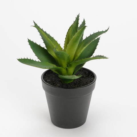 Plante artificielle, fausse plante Aloe Vera 22 cm - INSIDE Box - Shop - Conseil