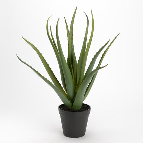 Plante artificielle, fausse plante Aloe Vera 45 cm - INSIDE Box - Shop - Conseil