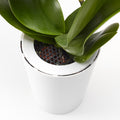 Pot suspendu renversé en plastique grand Sky Planter blanc - INSIDE Box - Shop - Conseil