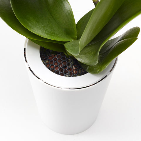 Pot suspendu blanc, or Bolo Planter : pot céramique à suspendre – INSIDE  Box - Shop - Conseil
