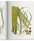 livre-decoratif-the-book-of-palms-shema-arenga