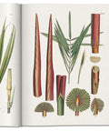 Livre décoratif sur la nature "The Book of Palms" - INSIDE Box - Shop - Conseil