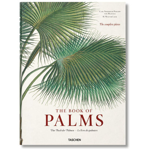 livre-decoratif-the-book-of-palms